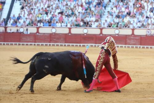 Manzanares y Pincelado, El Puerto